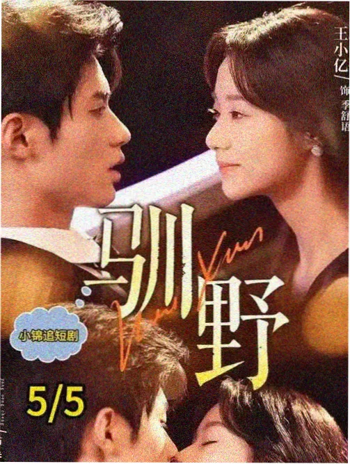 我的解放日志 韩剧